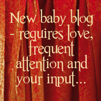 What a baby blog needs...